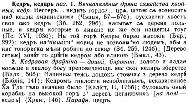 img/15/15-071_0415_Кедръ.jpg