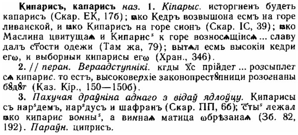 img/15/15-090_0554_Кипарисъ.jpg