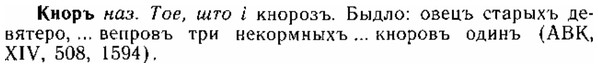 img/15/15-146_0874_Кноръ.jpg