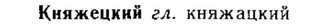 img/15/15-153_0898_Княжецкий.jpg