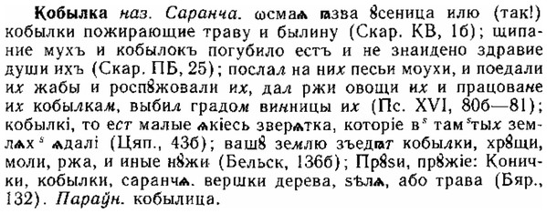 img/15/15-165_0946_Кобылка.jpg