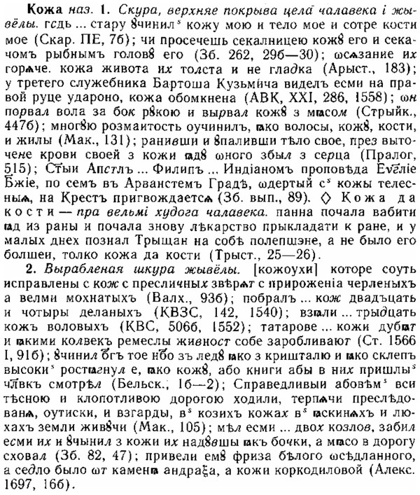 img/15/15-172_1002_Кожа.jpg