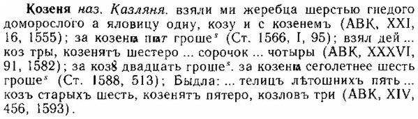 img/15/15-181_1043_Козеня.jpg
