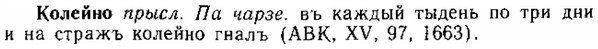 img/15/15-192_1120_Колейно.jpg