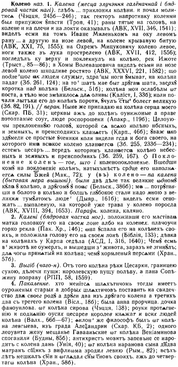 img/15/15-194_1128_Колено.jpg