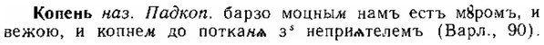 img/15/15-297_1637_Копень.jpg