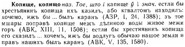 img/15/15-299_1649_Копище.jpg