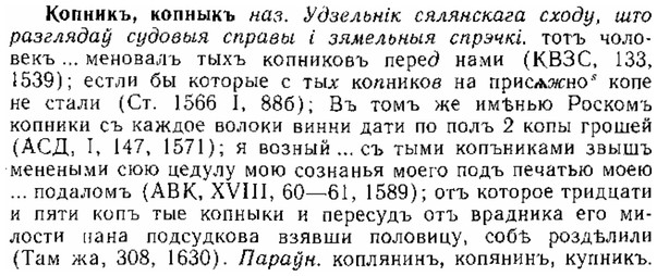 img/15/15-300_1660_Копникъ.jpg