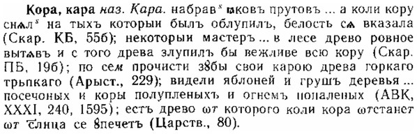 img/15/15-303_1689_Кора.jpg