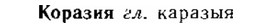 img/15/15-305_1705_Коразия.jpg