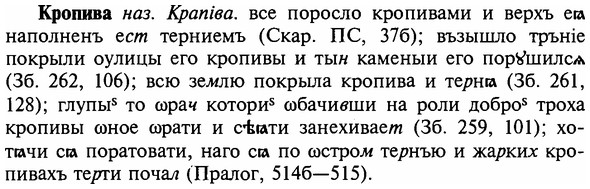 img/16/16-172_0808_Кропива.jpg