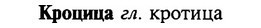img/16/16-176_0840_Кроцица.jpg