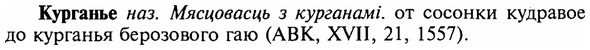 img/16/16-238_1207_Курганье.jpg