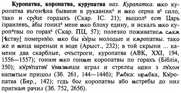 img/16/16-241_1223_Куропатва.jpg