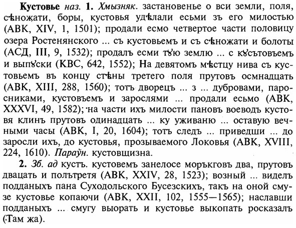 img/16/16-247_1259_Кустовье.jpg