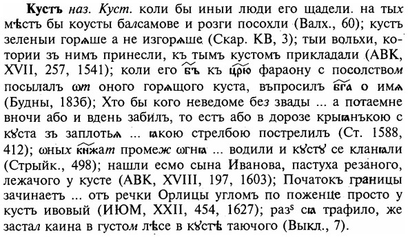 img/16/16-249_1266_Кустъ.jpg