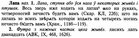 img/16/16-293_1473_Лапа.jpg