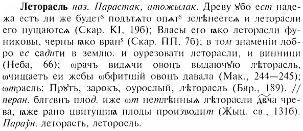img/17/17-017_0051_Леторасль.jpg