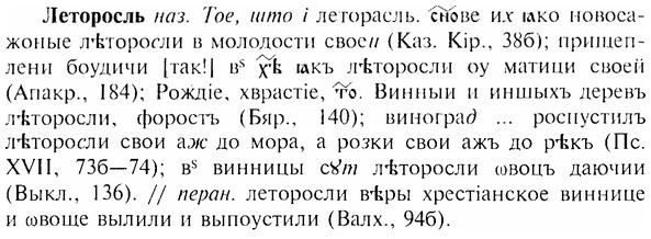 img/17/17-017_0054_Леторосль.jpg