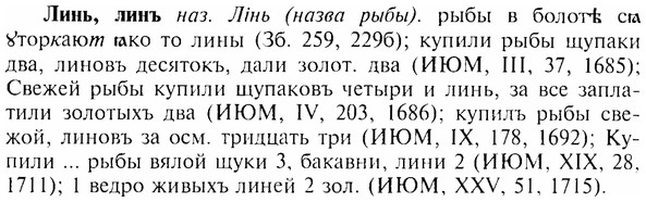 img/17/17-041_0184_Линь.jpg