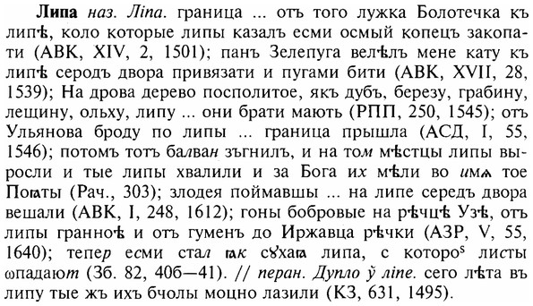 img/17/17-042_0193_Липа.jpg