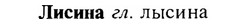 img/17/17-043_0204_Лисина.jpg