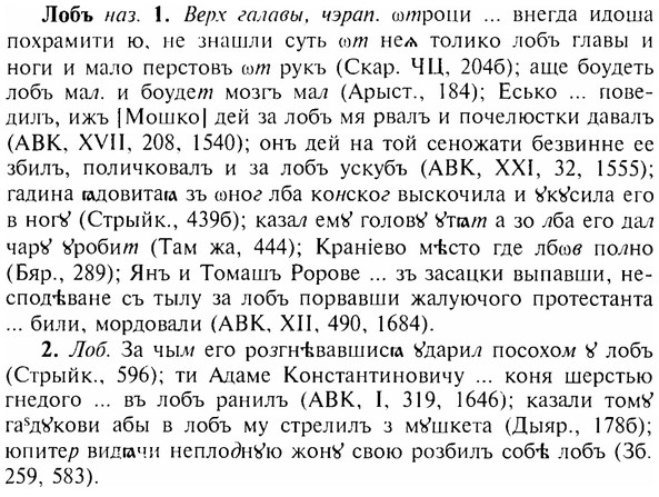 img/17/17-093_0381_Лобъ.jpg