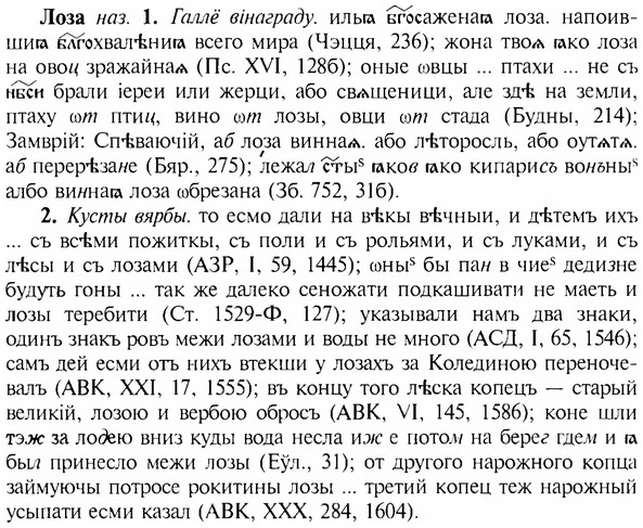 img/17/17-110_0461_Лоза.jpg