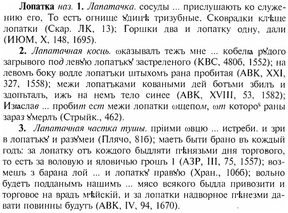 img/17/17-119_0511_Лопатка.jpg
