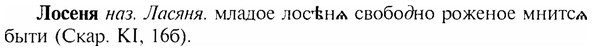 img/17/17-119_0513_Лосеня.jpg