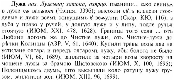 img/17/17-129_0582_Лужа.jpg