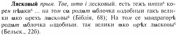 img/17/17-209_0913_Лясковый.jpg