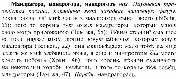 img/17/17-254_1177_Мандрагора.jpg