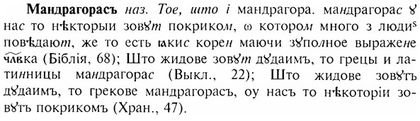 img/17/17-254_1178_Мандрагорасъ.jpg