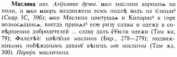 img/17/17-272_1295_Маслина.jpg