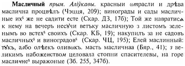 img/17/17-272_1300_Масличный.jpg