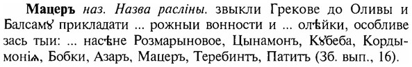 img/17/17-290_1395_Мацеръ.jpg