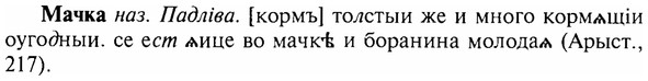 img/17/17-291_1402_Мачка.jpg