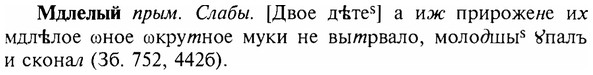img/17/17-295_1435_Мдлелый.jpg