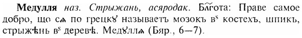 img/17/17-304_1488_Медулля.jpg