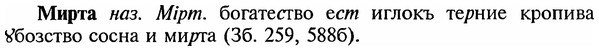 img/18/18-064_0277_Мирта.jpg
