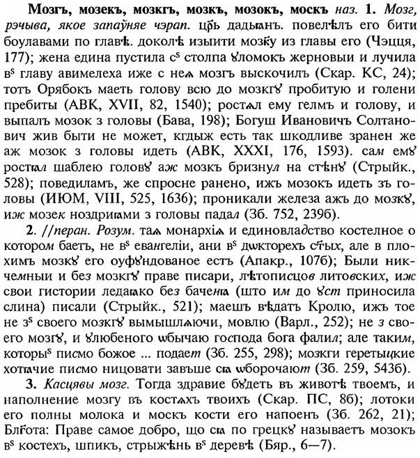 img/18/18-121_0613_Мозгъ.jpg