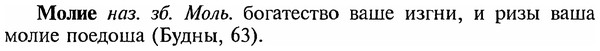 img/18/18-127_0664_Молие.jpg