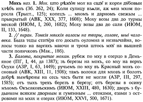 img/18/18-175_0936_Мохъ.jpg