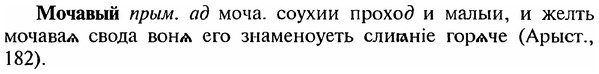 img/18/18-190_0958_Мочавый.jpg