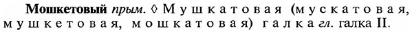 img/18/18-194_0980_Мошкетовый.jpg