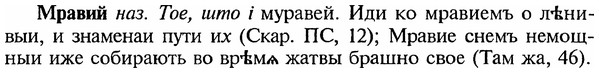 img/18/18-197_1000_Мравий.jpg