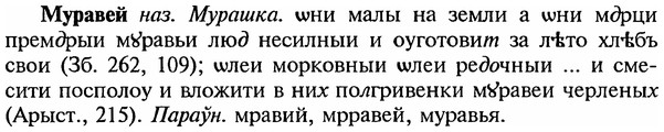 img/18/18-226_1149_Муравей.jpg