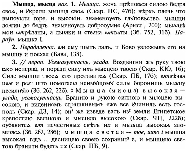 img/18/18-258_1343_Мышца.jpg
