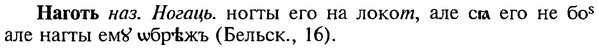 img/18/18-359_1825_Наготь.jpg